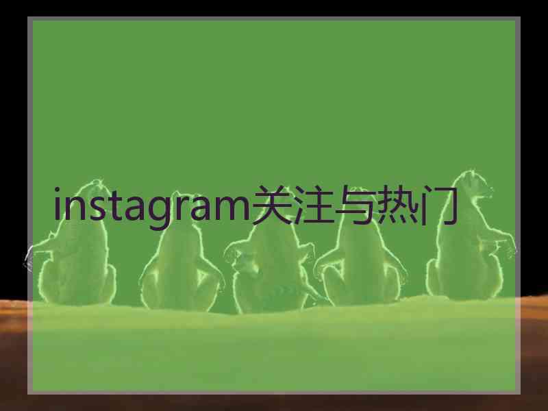 instagram关注与热门