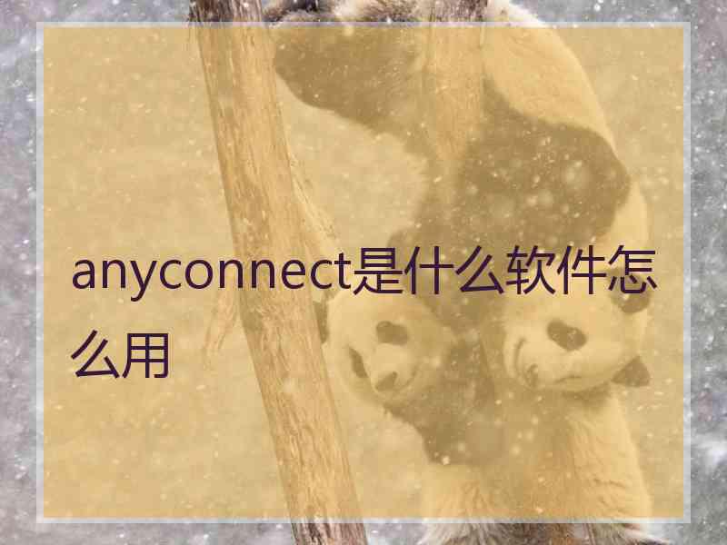 anyconnect是什么软件怎么用