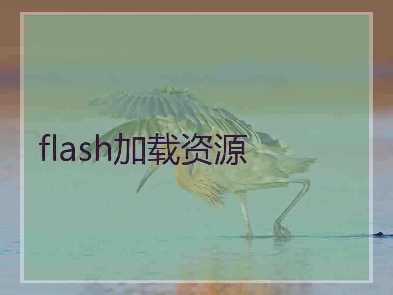 flash加载资源