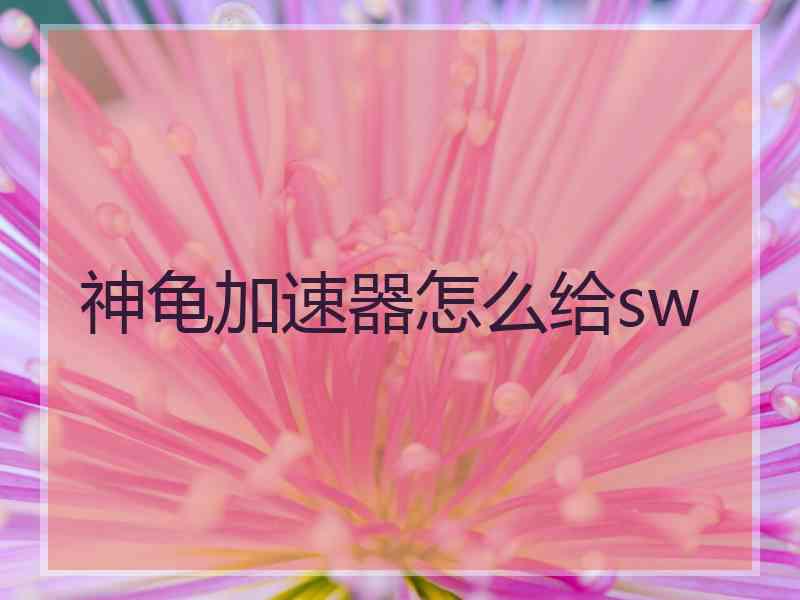 神龟加速器怎么给sw