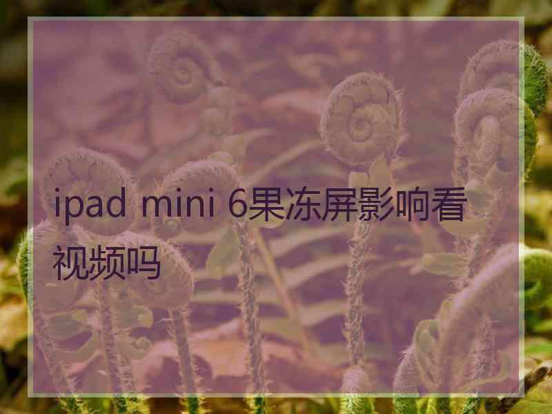 ipad mini 6果冻屏影响看视频吗