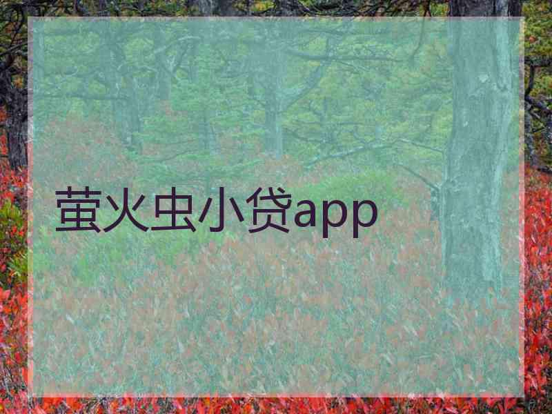 萤火虫小贷app