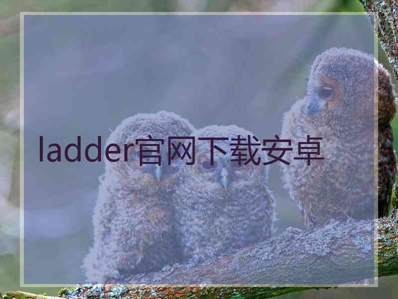 ladder官网下载安卓