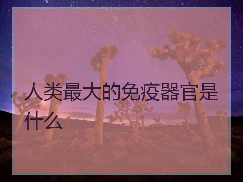 人类最大的免疫器官是什么