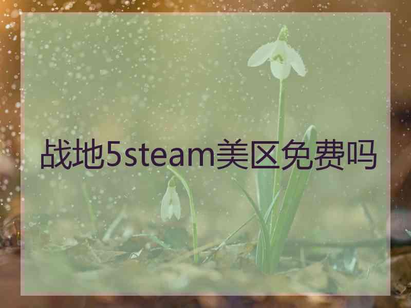 战地5steam美区免费吗