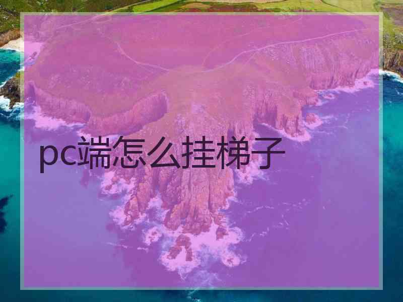 pc端怎么挂梯子