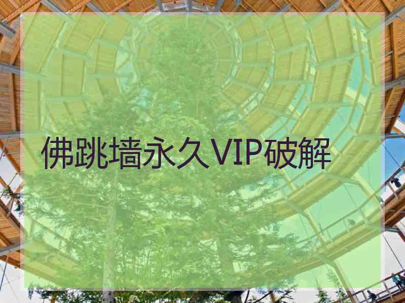 佛跳墙永久VIP破解