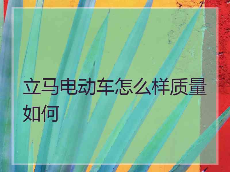 立马电动车怎么样质量如何