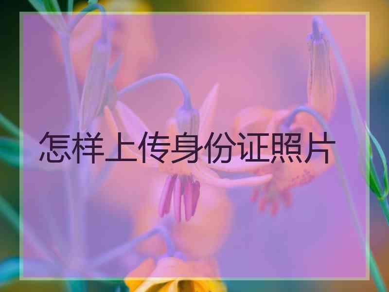 怎样上传身份证照片