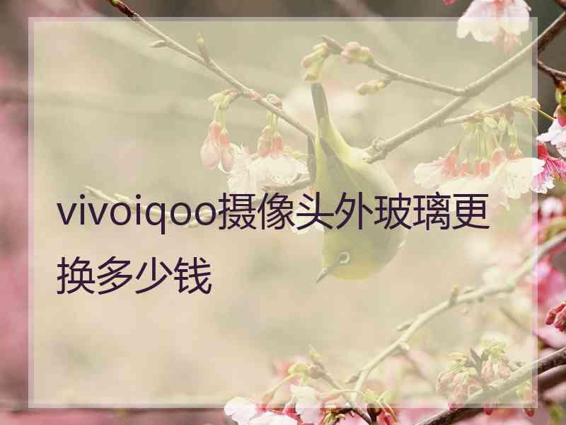 vivoiqoo摄像头外玻璃更换多少钱