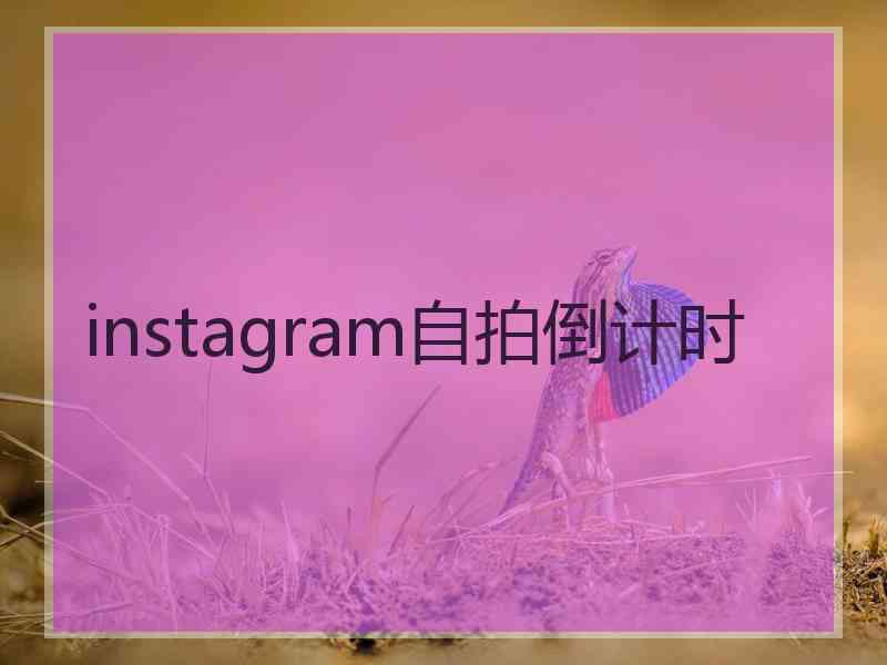 instagram自拍倒计时