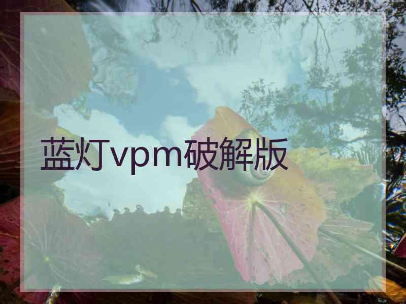 蓝灯vpm破解版