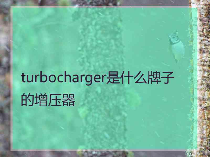 turbocharger是什么牌子的增压器