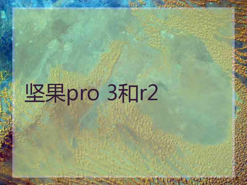 坚果pro 3和r2