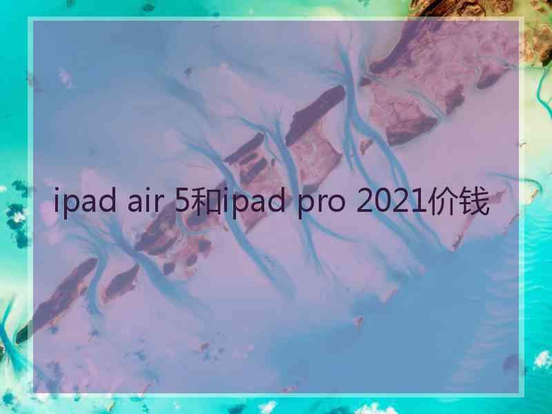 ipad air 5和ipad pro 2021价钱