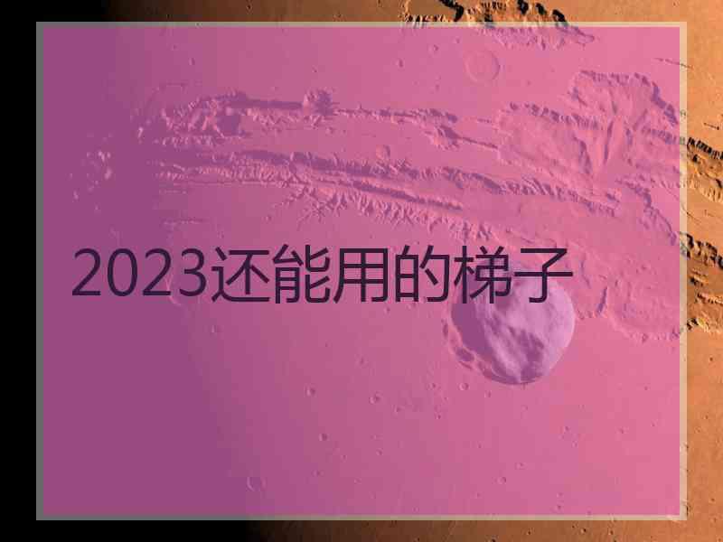 2023还能用的梯子