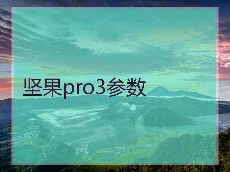 坚果pro3参数