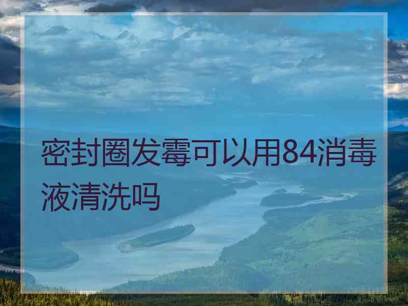 密封圈发霉可以用84消毒液清洗吗