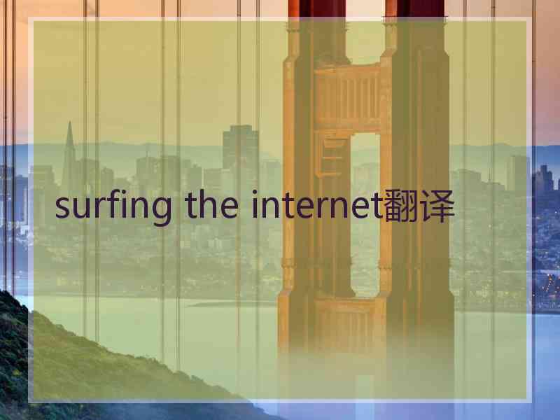 surfing the internet翻译