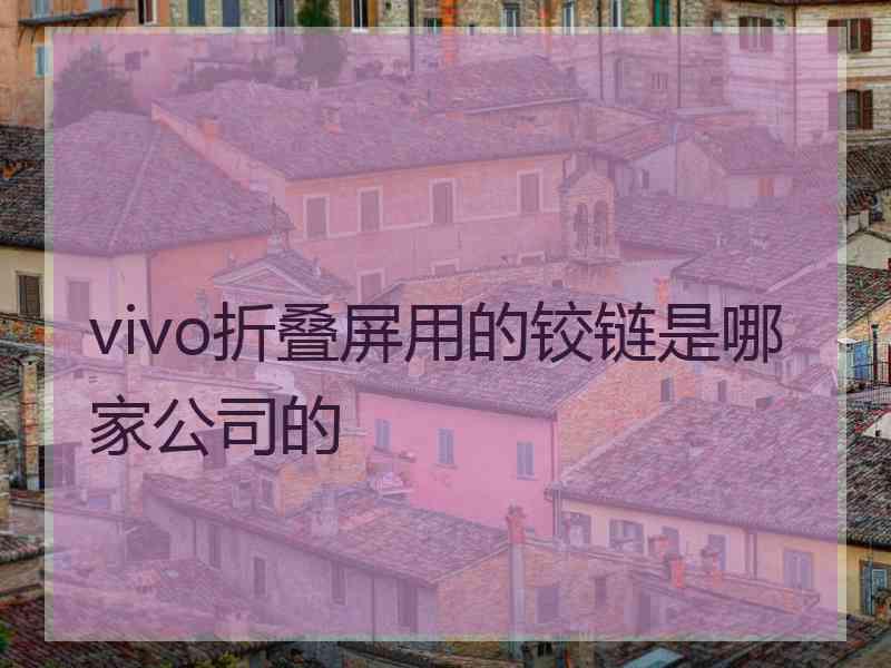 vivo折叠屏用的铰链是哪家公司的