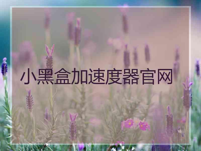 小黑盒加速度器官网