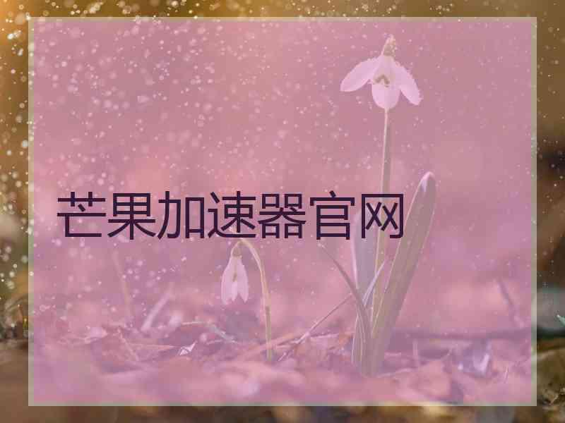 芒果加速器官网