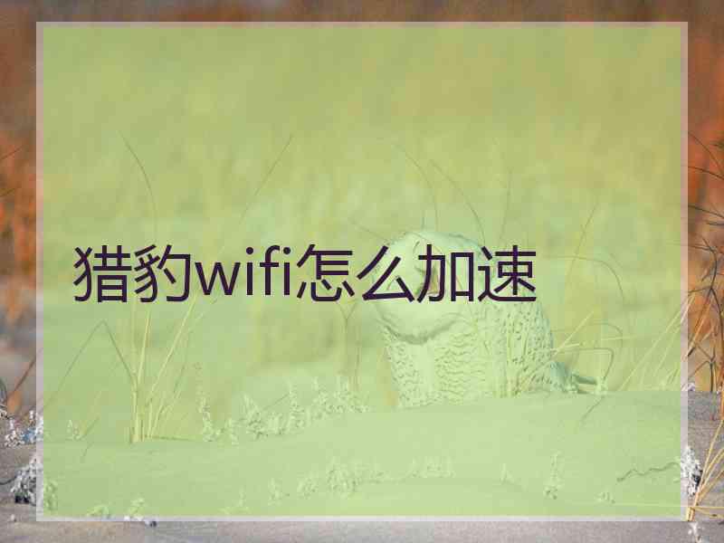 猎豹wifi怎么加速