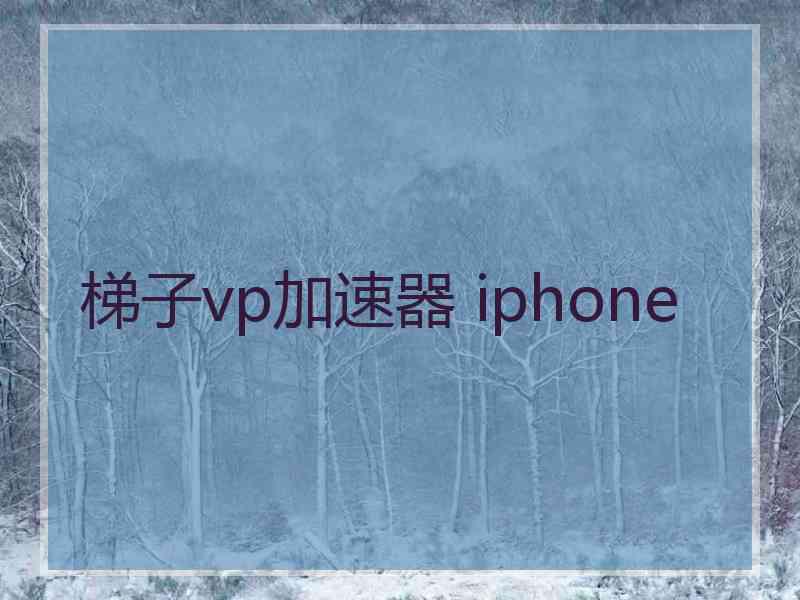 梯子vp加速器 iphone