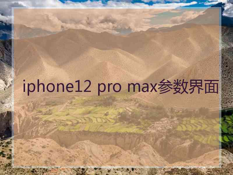 iphone12 pro max参数界面