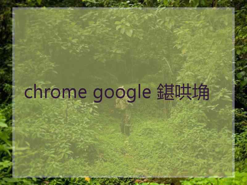 chrome google 鍖哄埆