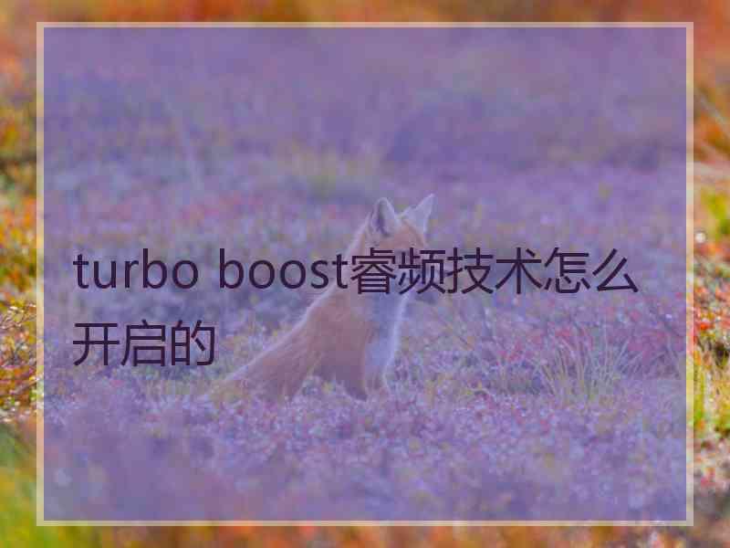 turbo boost睿频技术怎么开启的