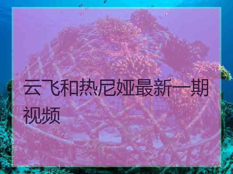 云飞和热尼娅最新一期视频