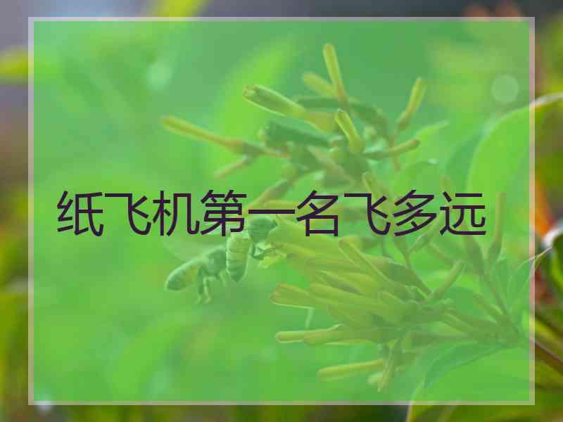 纸飞机第一名飞多远