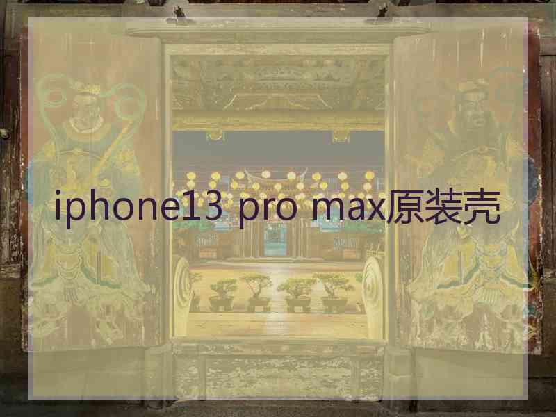 iphone13 pro max原装壳