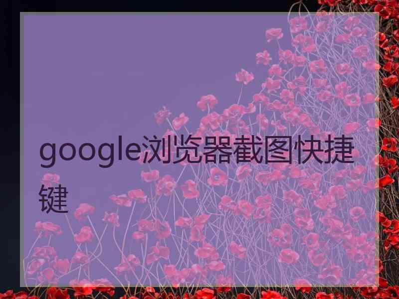 google浏览器截图快捷键