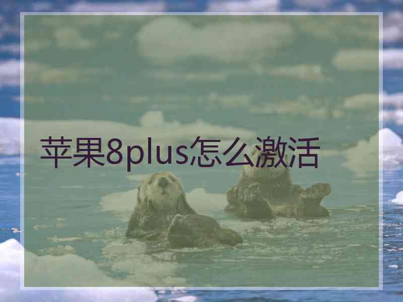 苹果8plus怎么激活