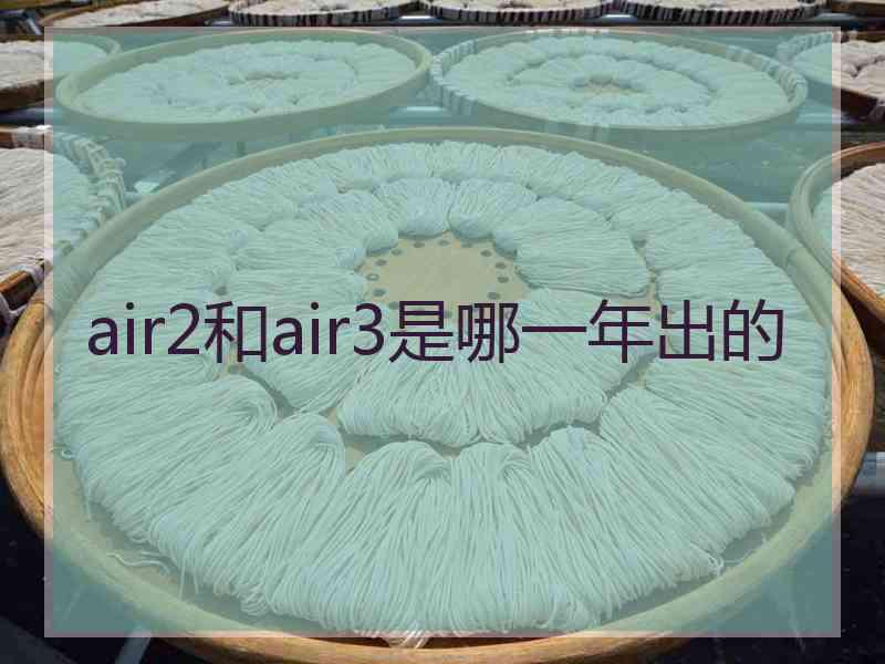 air2和air3是哪一年出的