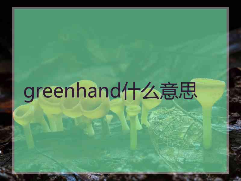 greenhand什么意思