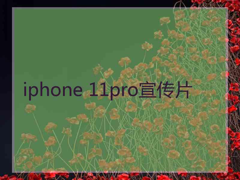 iphone 11pro宣传片