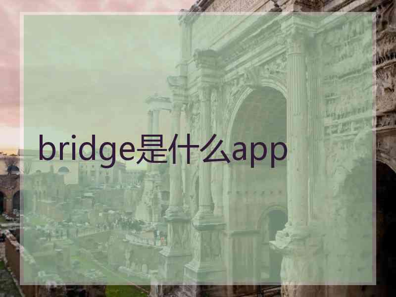 bridge是什么app