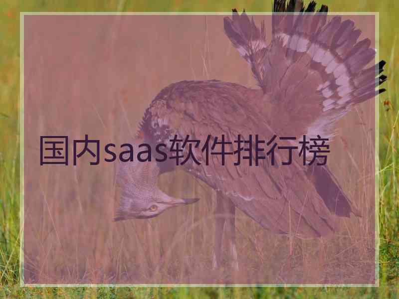 国内saas软件排行榜