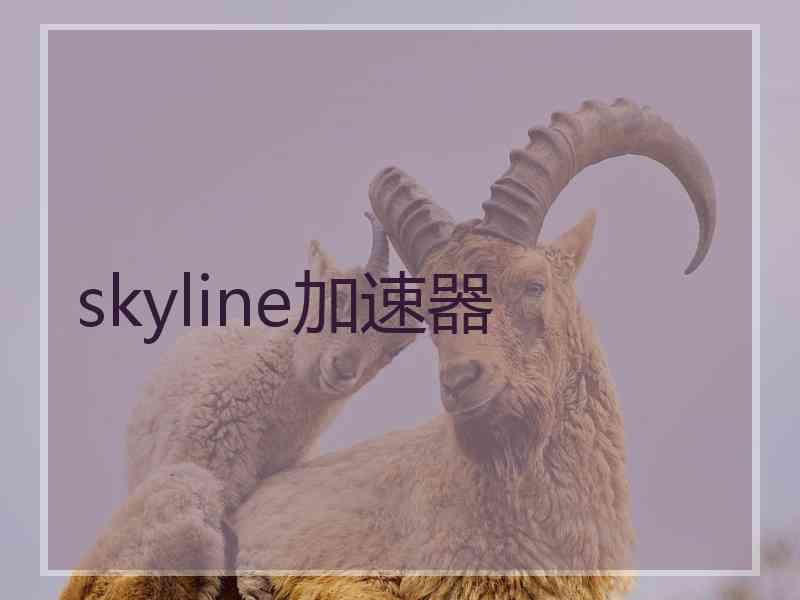 skyline加速器