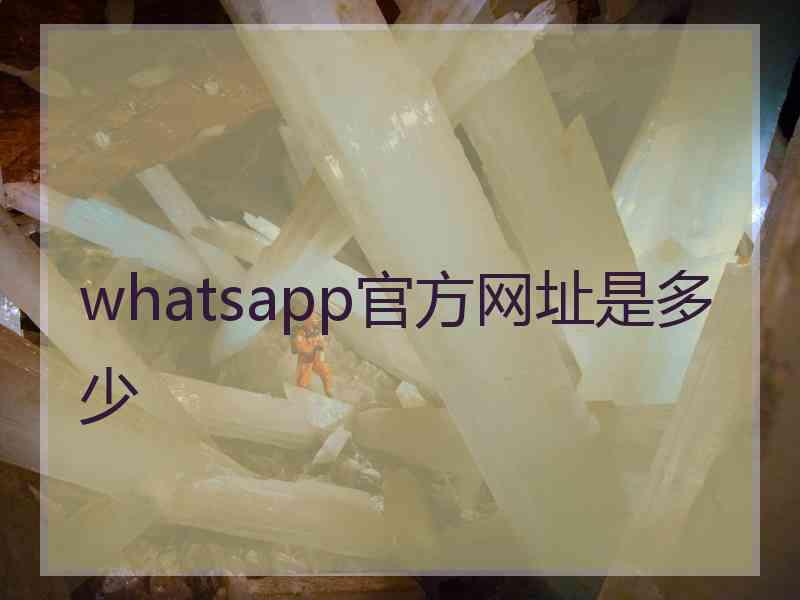 whatsapp官方网址是多少