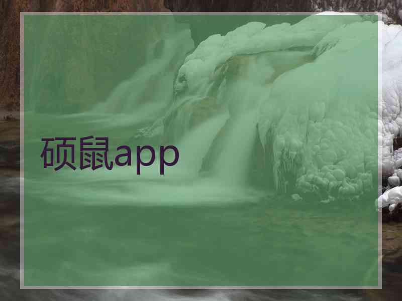 硕鼠app