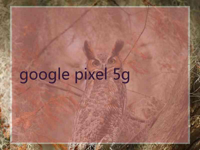 google pixel 5g