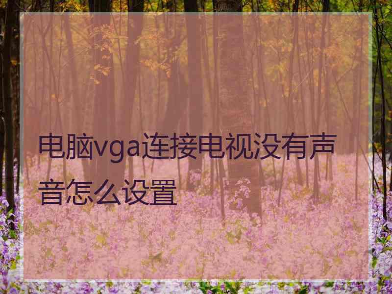 电脑vga连接电视没有声音怎么设置