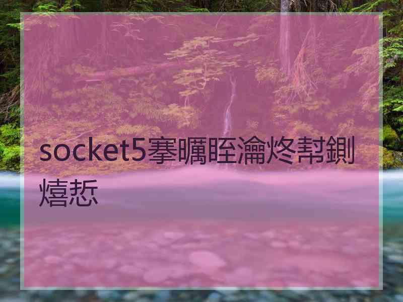 socket5搴曞眰瀹炵幇鍘熺悊