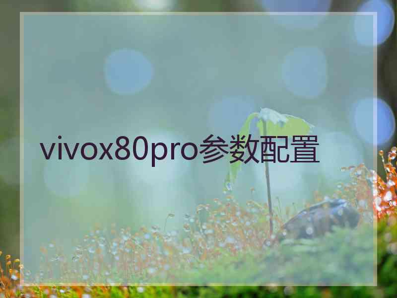 vivox80pro参数配置