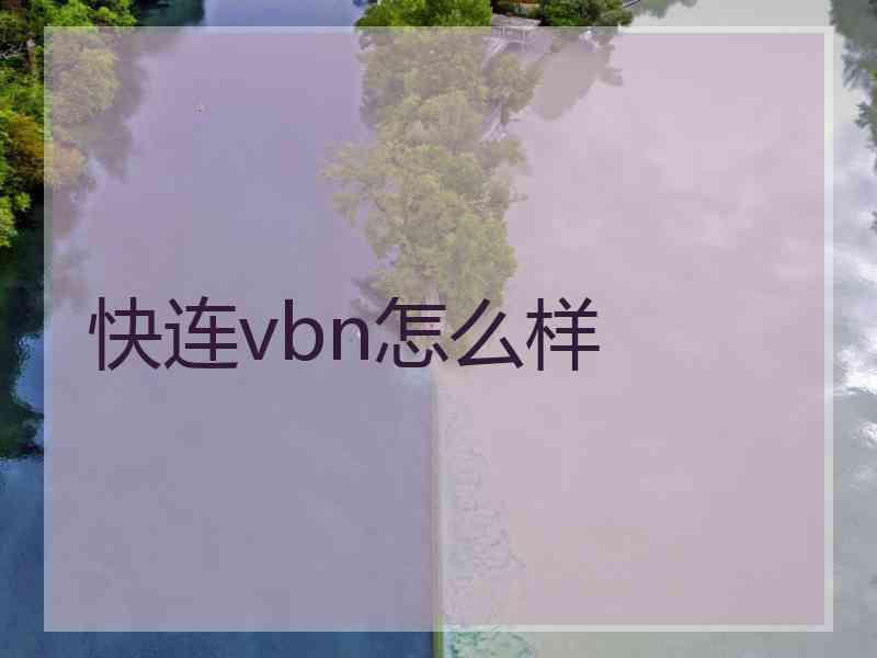 快连vbn怎么样