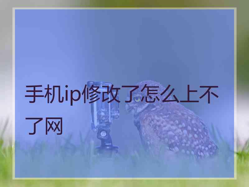 手机ip修改了怎么上不了网